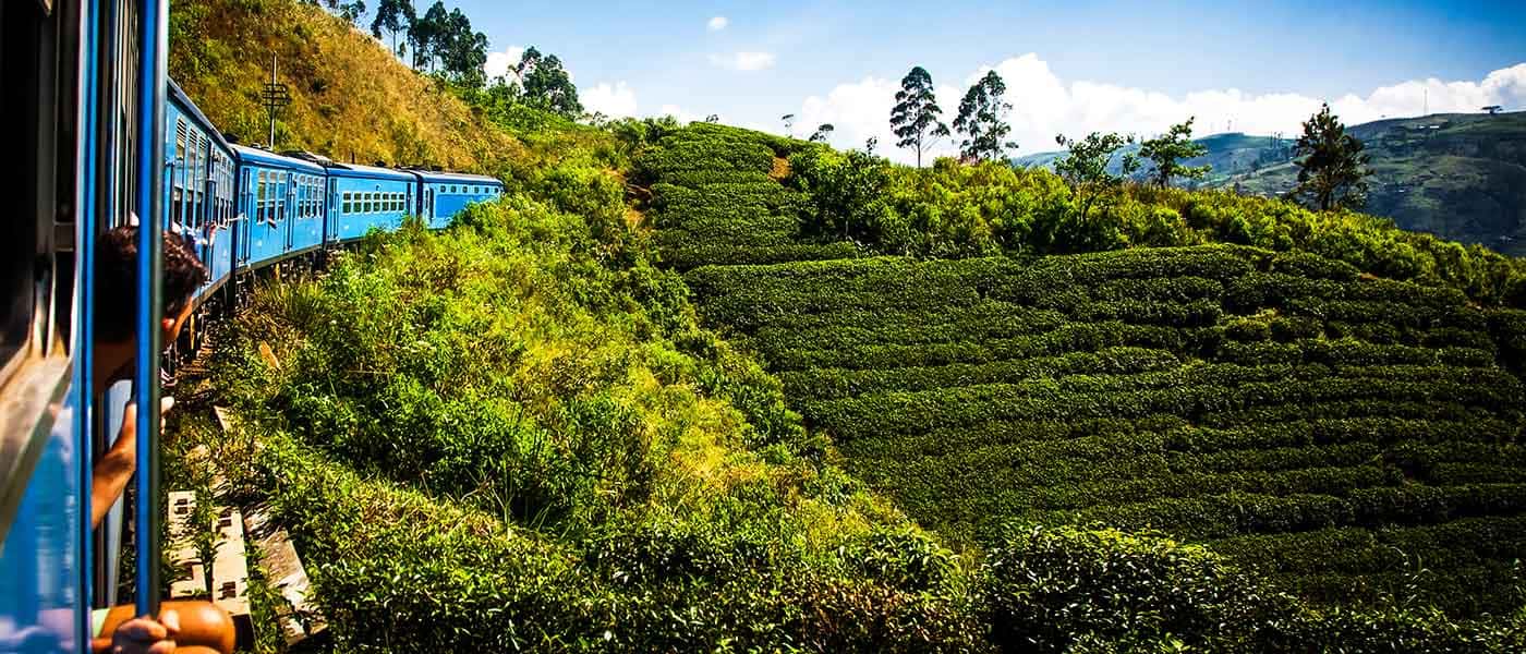 Colombo to Nuwara Eliya