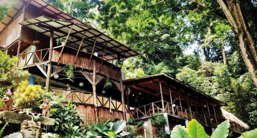 Hostel Plinio