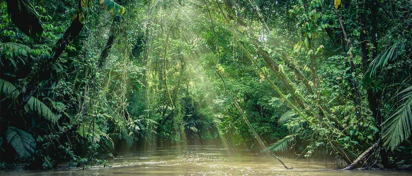 San Jose to Tortuguero