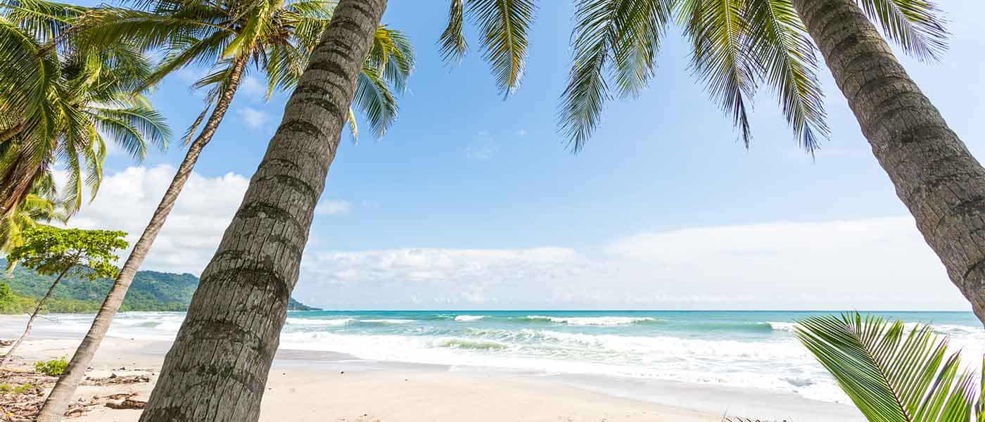 Tamarindo to Santa Teresa