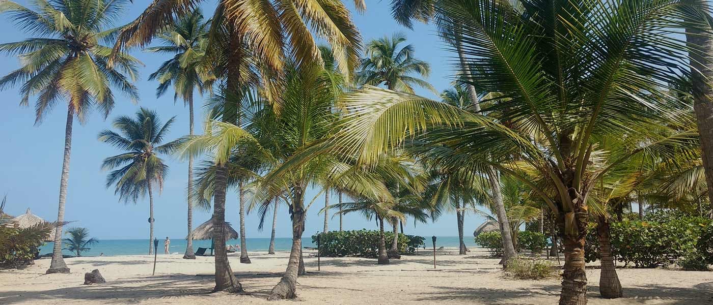 Top 5 things to do in Palomino, Colombia