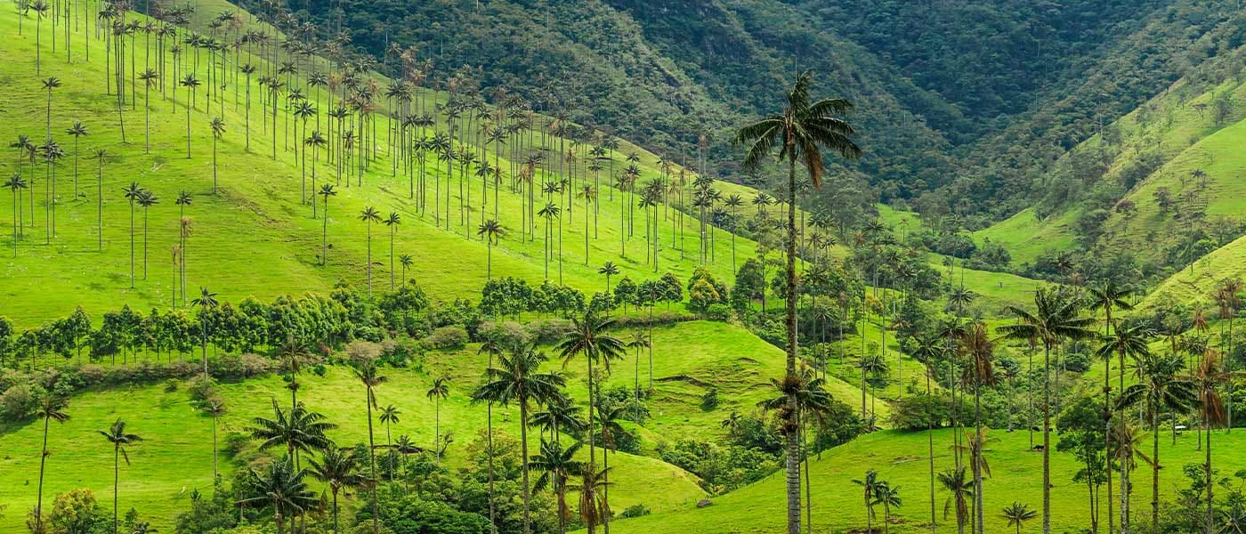 Top 8 things to do in Salento, Colombia
