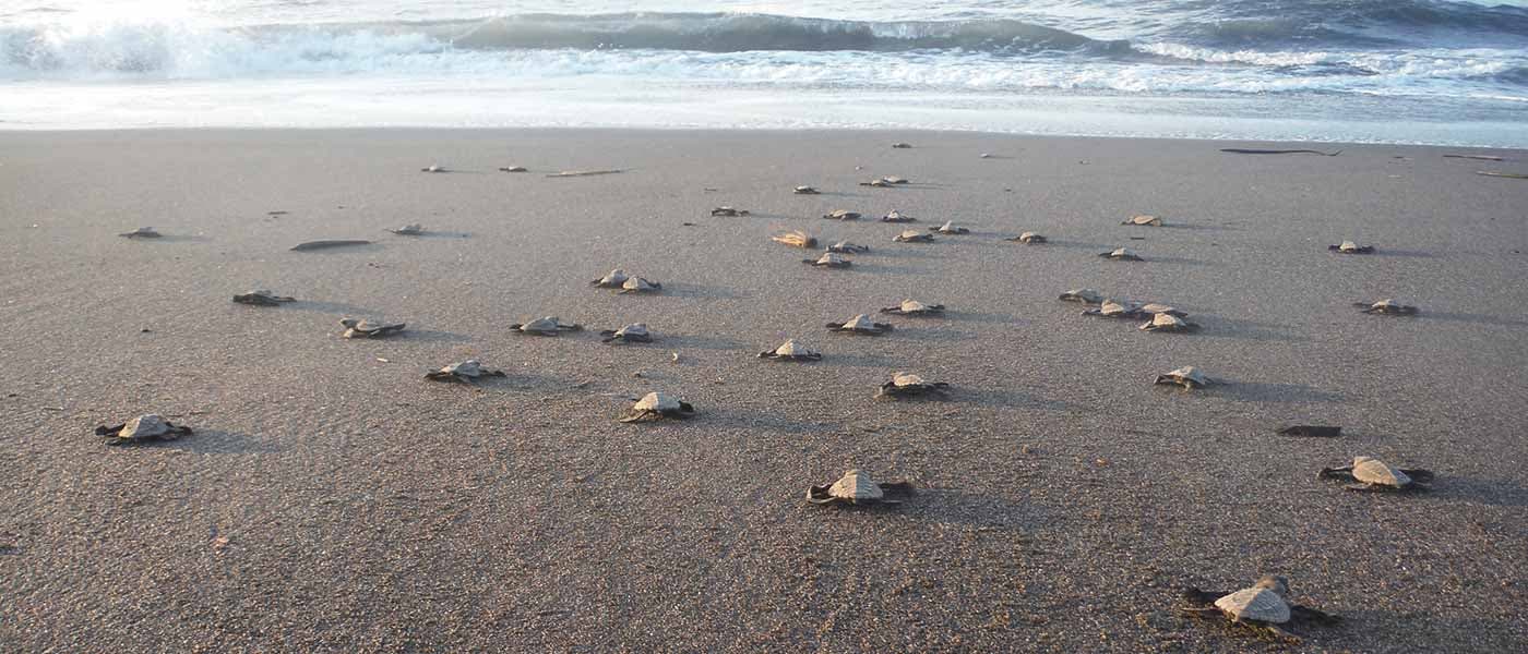 Visiting El Paredon | Guatemala's laidback surf town