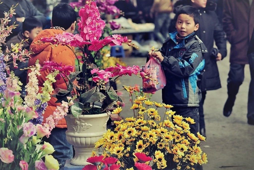 Tet in Hanoi - Vietnamese New Year