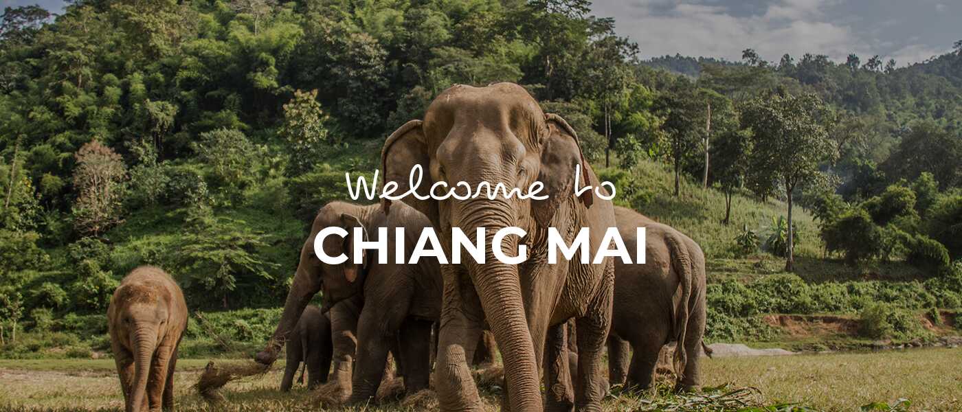 Chiang Mai cover image