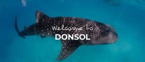 Donsol cover image