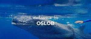 Oslob cover image