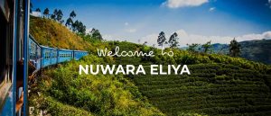 Nuwara Eliya things to do