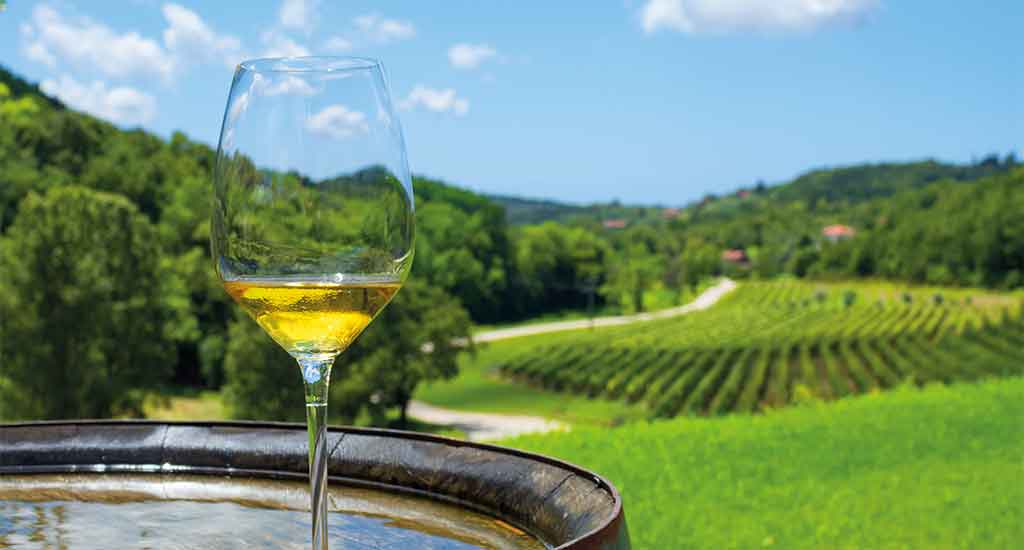 Glass of wine in Korcula