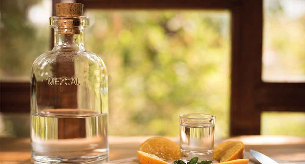 Mezcal in Oaxaca City Mexico