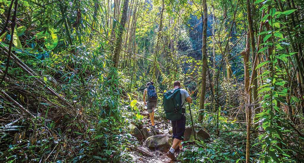 Jungle Hike in Koh Chang