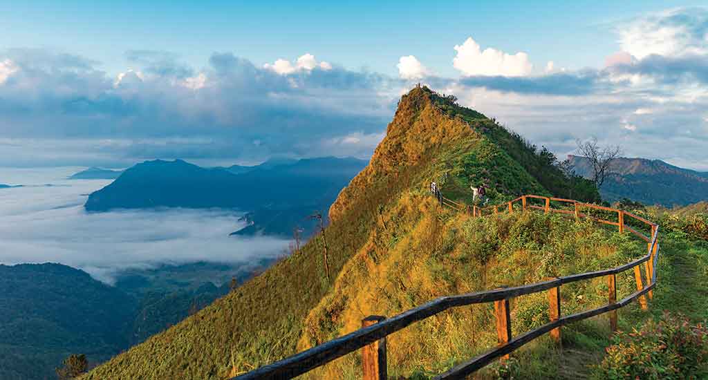 Phu Chi Fa peak in Chiang Rai