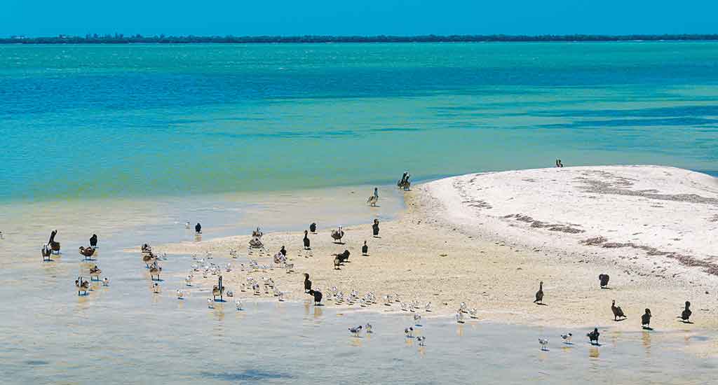 La Isla de los Pajaros in Bacalar Mexico