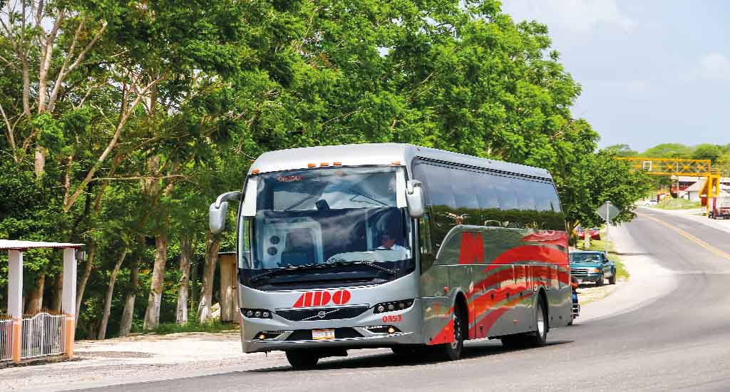 ADO bus