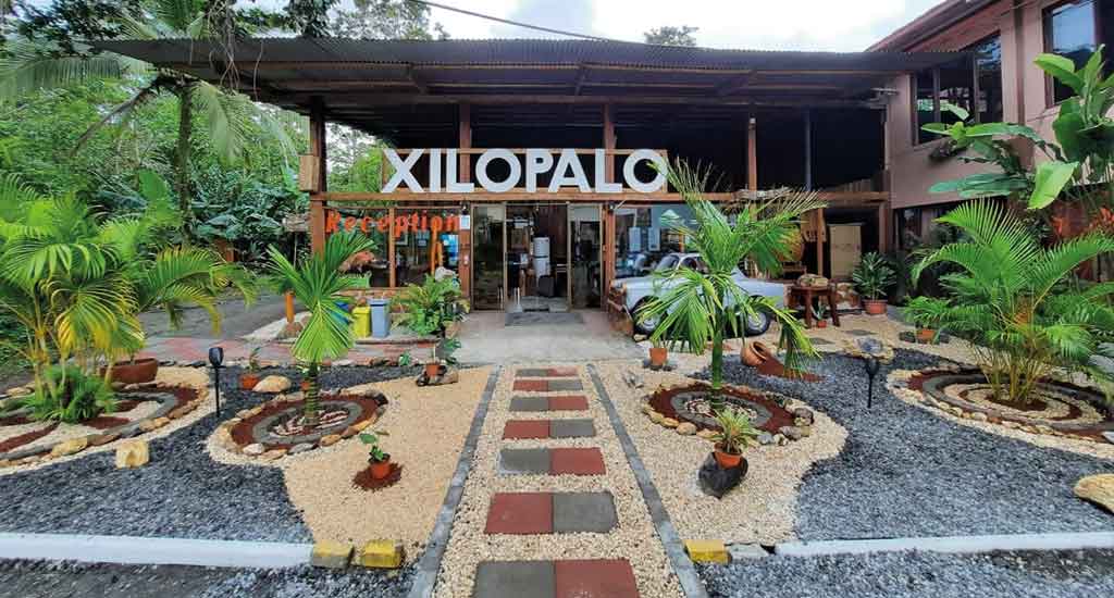Arenal Xilopalo