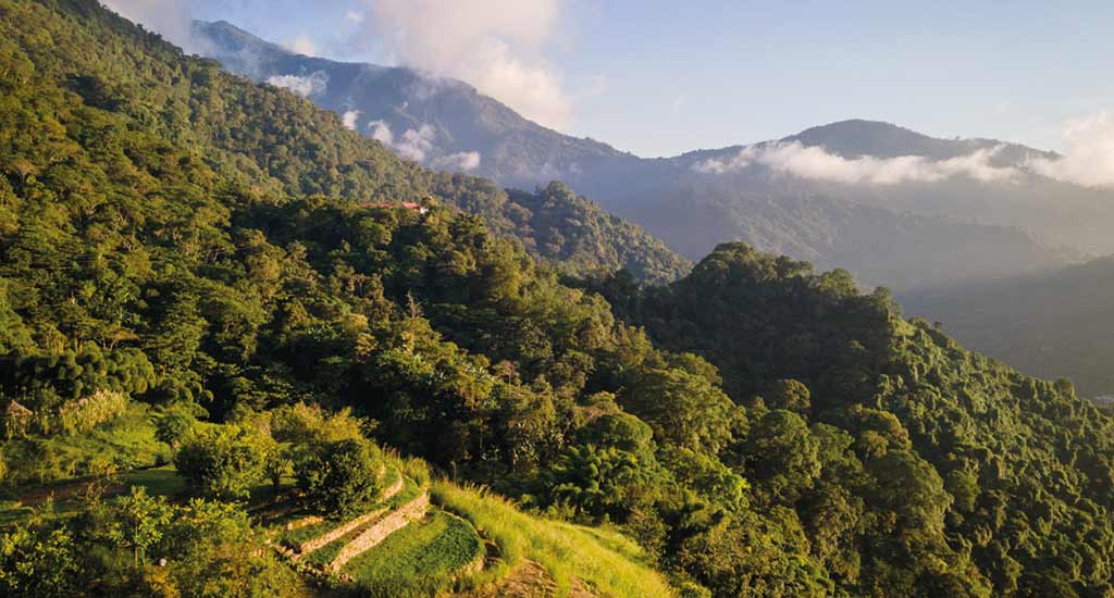 View from Ecolodge