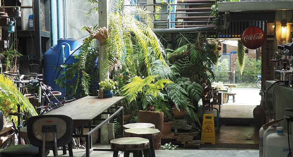 Nature Coffee in Pai