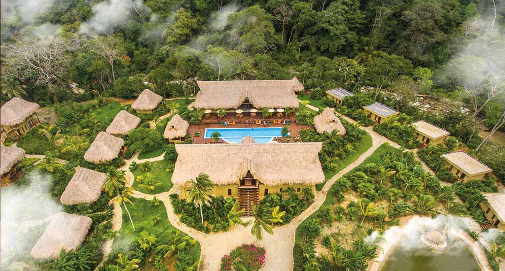 Jungle retreat 