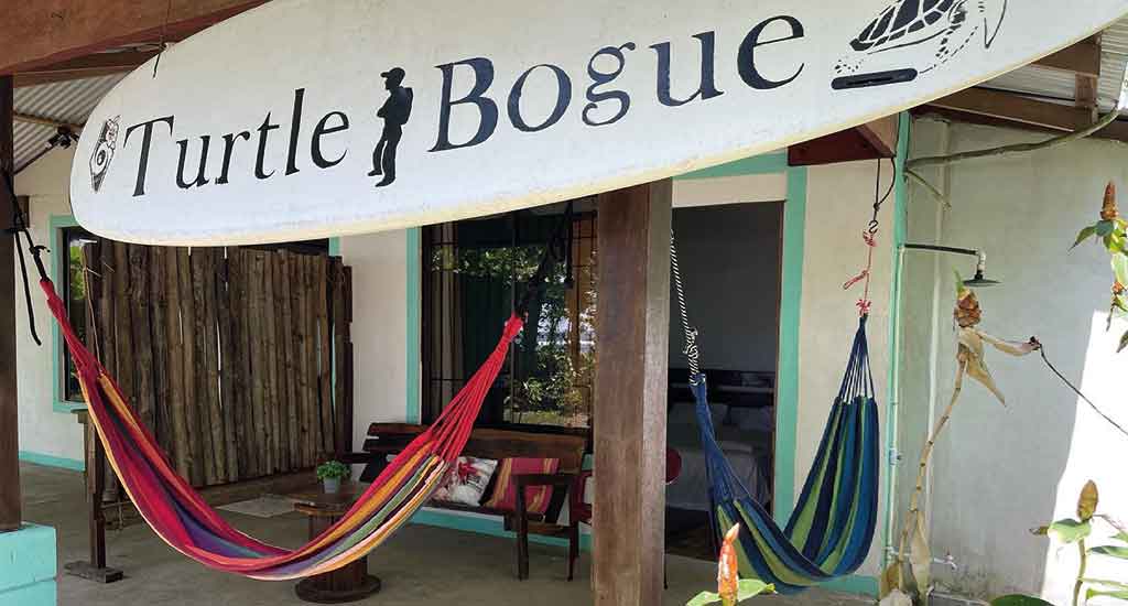 Casa Turtle Bogue