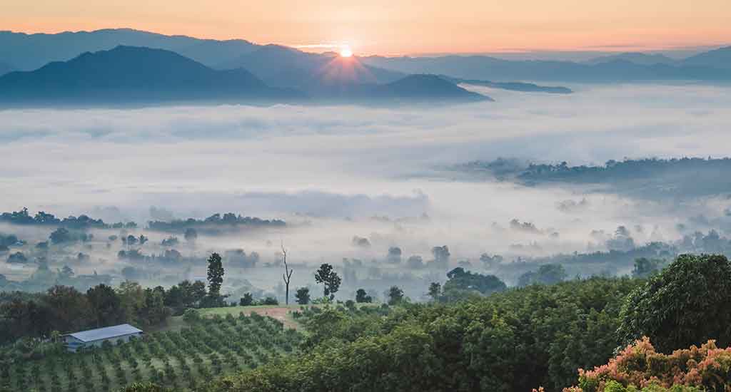 Yun Lai viewpoint in Pai