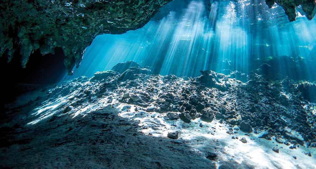 Gran Cenote in Tulum Mexico