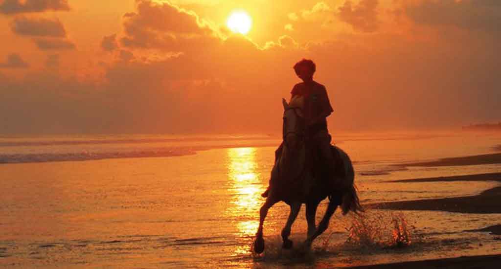 Horse riding in Manuel Antonio Costa Rica