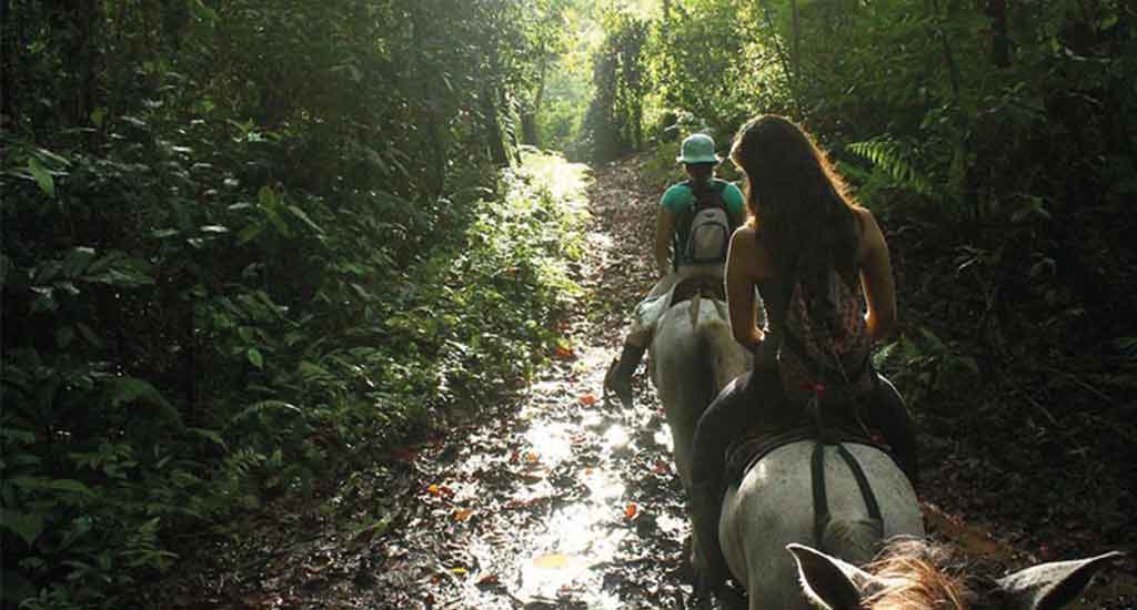 Horse riding in Drake Bay Costa Rica