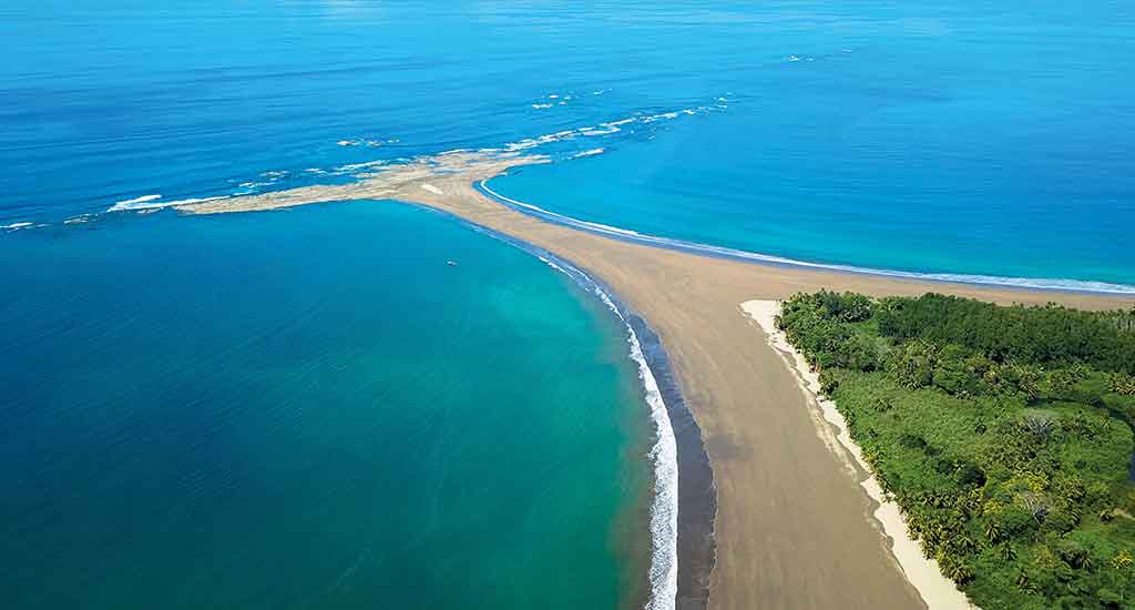 Whale's tail in Manuel Antonio Costa Rica