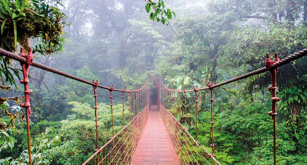 Hanging Bridge Monteverde Costa Rica