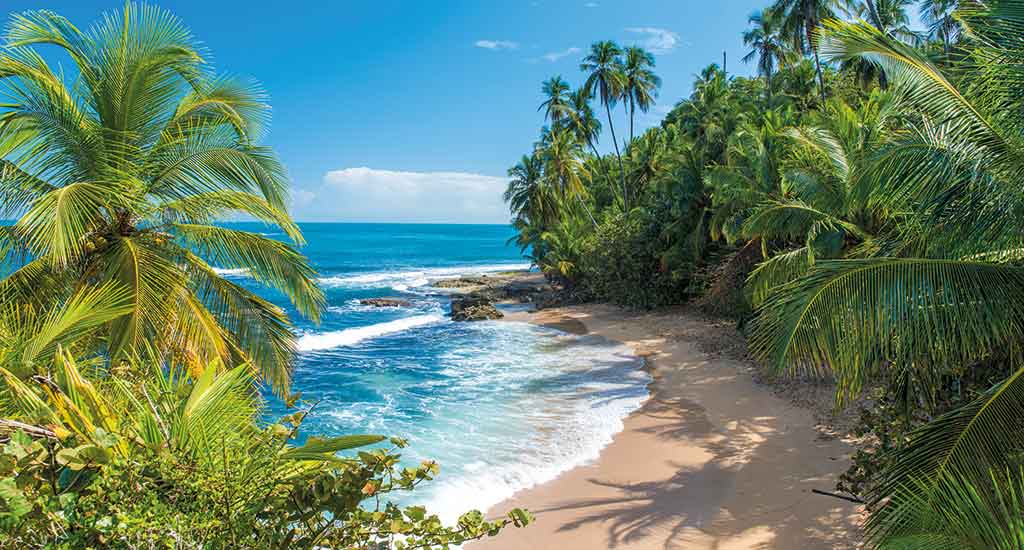 Playa Manzanillo in Puerto Viejo Costa Rica