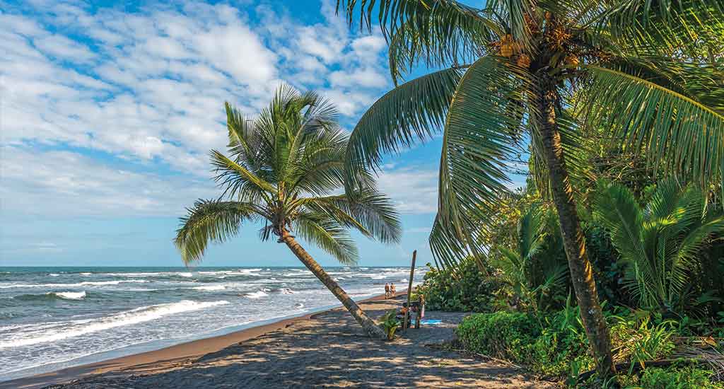 Wild beach in Tortuguero Costa Rica