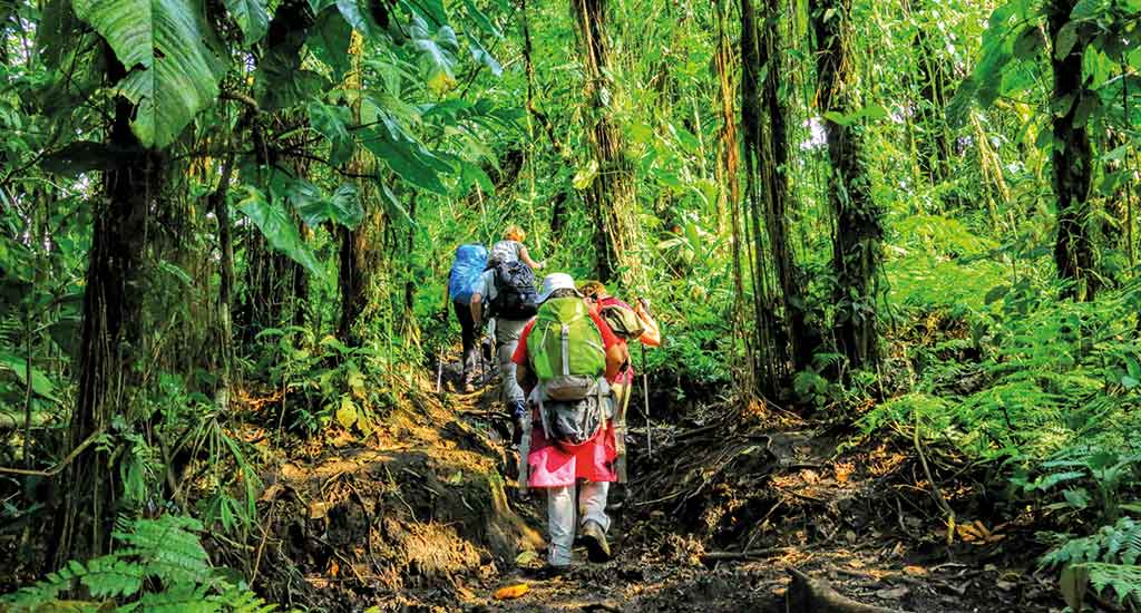 Jungle trail in La Fortuna Costa Rica