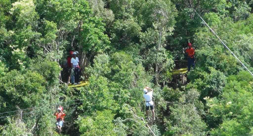 Canopy in Drake bay Costa Rica