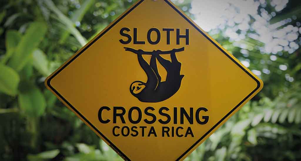 Sloth signage in Manuel Antonio Costa Rica