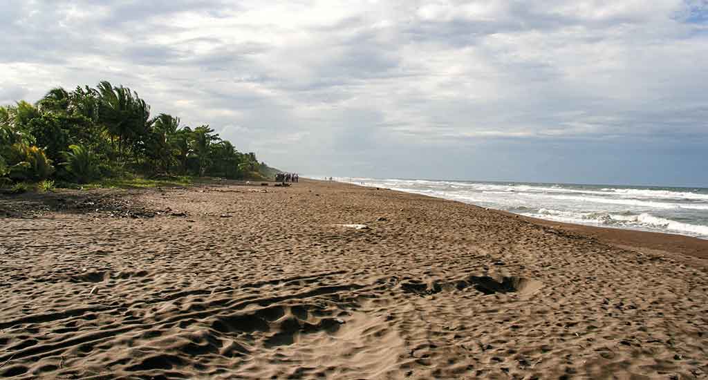 Tortuguero beach in Costa Rica