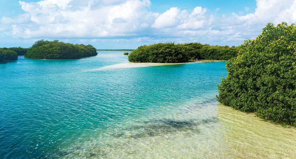 Lagoon reserve in Tulum Mexico