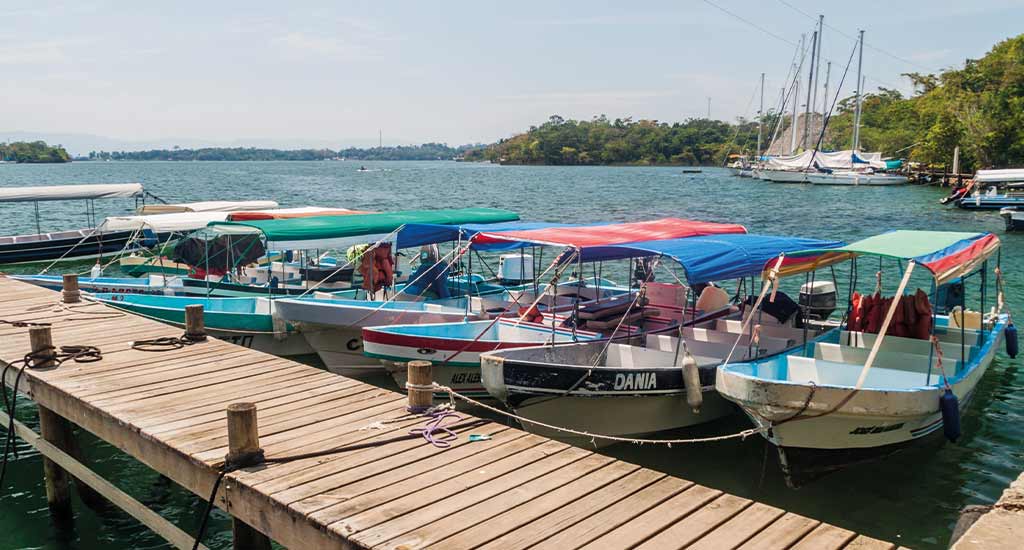 Boats available for boat trips