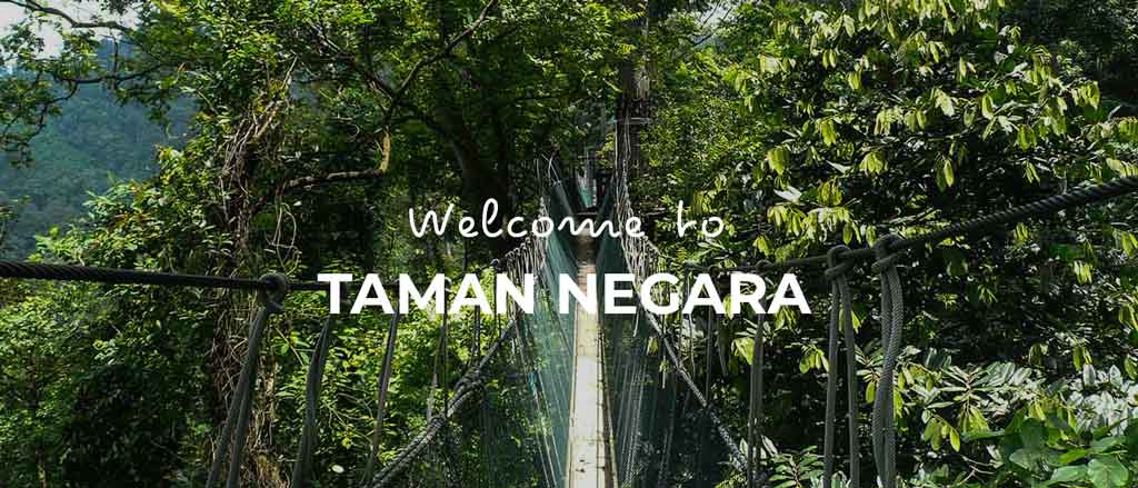 Taman Negara