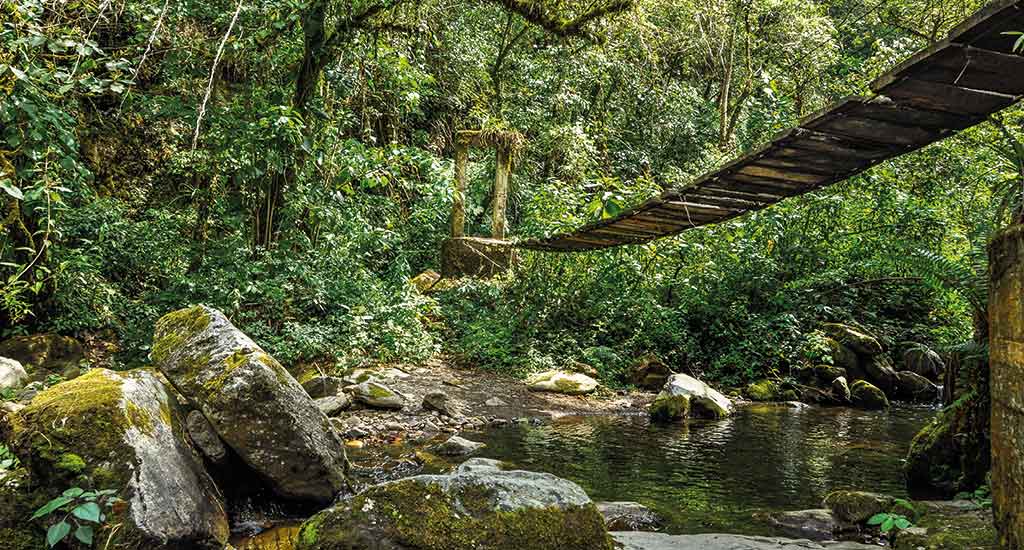 Bridge in Cocora Valley