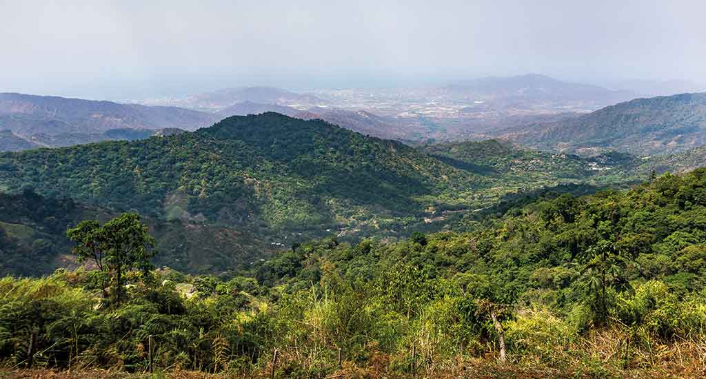 Los Pinos Minca Colombia