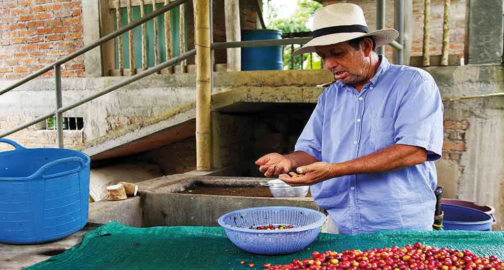 Coffee tour in Salento