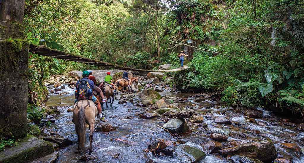 Horse riding by the river in Cocora