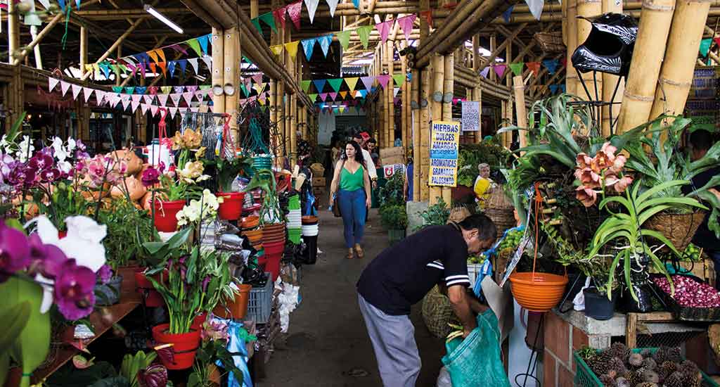 Flowers in market in Cali