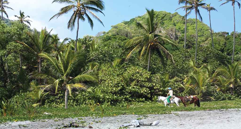 Tropical forest in Colombia
