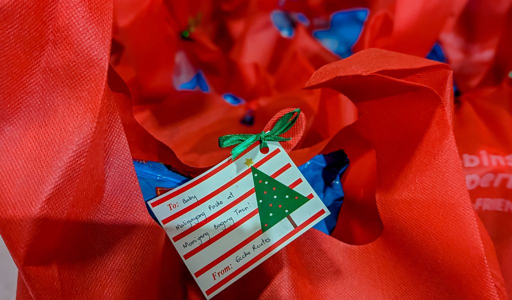 Gecko Routes Christmas Package