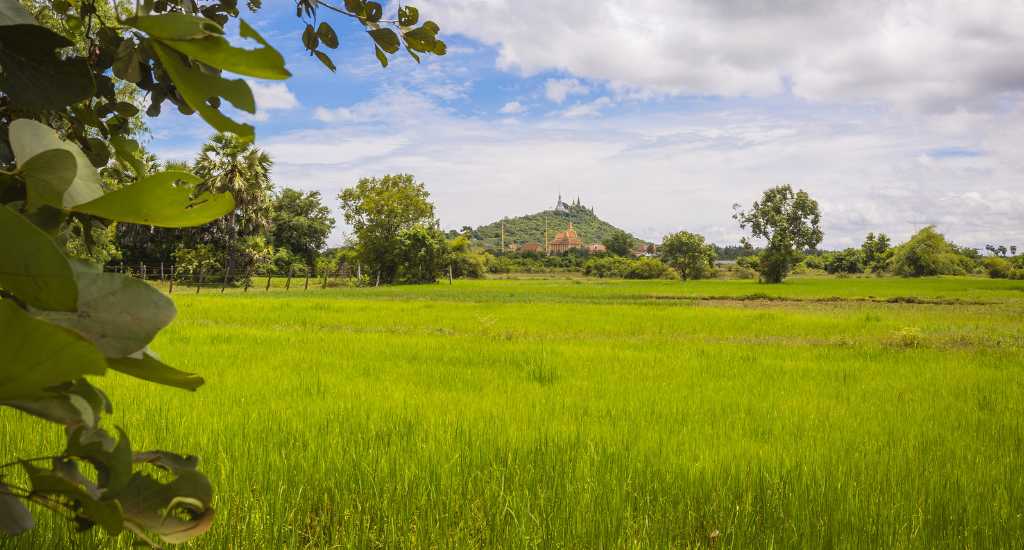 Green grass field in Phnom Penh