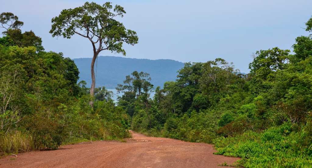 Dirt road in Koh Rong island