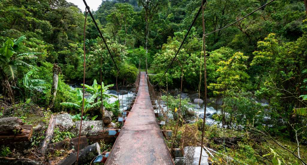Bridge path to Lost waterfall in Boquete