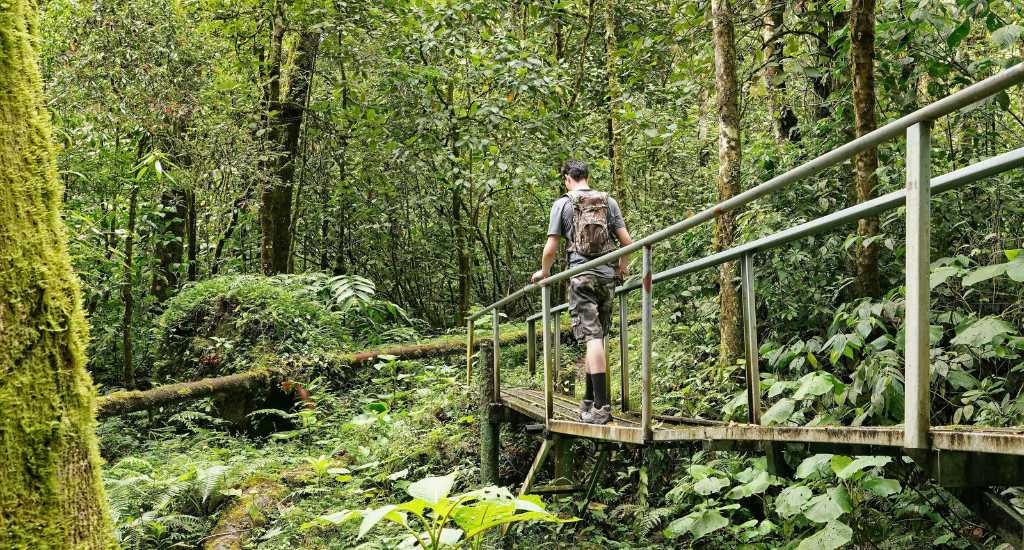 A man hiking the pipeline trail bridge