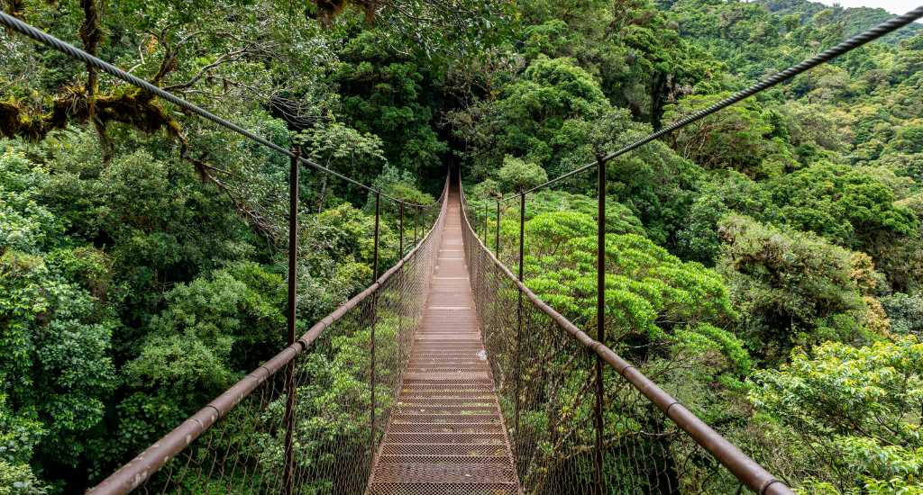Old hanging bridge in Boquete rainforest